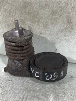 Volvo V50 Napinacz paska alternatora 31251654