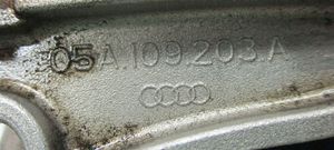 Audi Q7 4L Grandinės šliaužiklis (variklio) 05A109203A