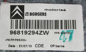 Citroen C5 Augšējā dekoratīvā apdare (pie loga) 96819294ZW