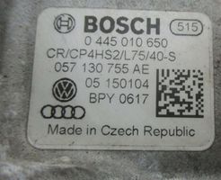 Audi A8 S8 D5 Pompa ad alta pressione dell’impianto di iniezione 057130755AE