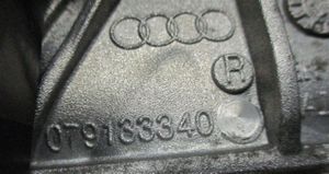 Audi RS6 C5 Kolektorius įsiurbimo 079133109BF