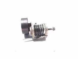 Audi A4 S4 B7 8E 8H Tendicinghia generatore/alternatore 038903315AN