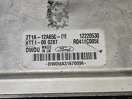 Ford Transit -  Tourneo Connect Sterownik / Moduł ECU 2T1A12A650DE