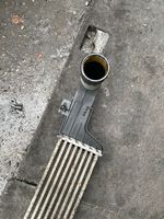 Mercedes-Benz E W210 Radiatore intercooler 2105090400