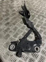 BMW 4 F32 F33 Cerniere del vano motore/cofano 139896