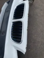 BMW X1 E84 Front bumper 2990185