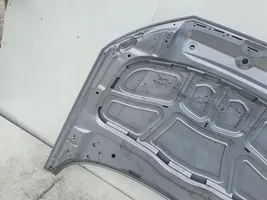 Audi A4 S4 B9 Engine bonnet/hood 