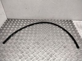Chrysler Pacifica Engine compartment rubber 