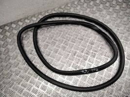 Chrysler Pacifica Front door rubber seal 