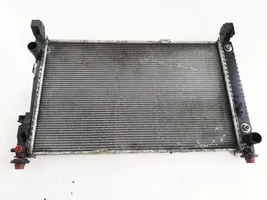 Mercedes-Benz A W169 Radiateur de refroidissement a1695003004