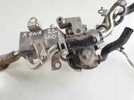 Hyundai Kona I EGR-venttiili/lauhdutin 