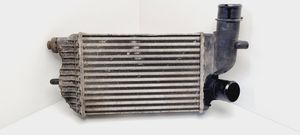 Citroen Jumper Intercooler radiator 1307012080