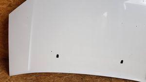 Ford Transit -  Tourneo Connect Engine bonnet/hood 