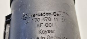 Mercedes-Benz SLC R172 Serbatoio a carbone attivo per il recupero vapori carburante A1704701159
