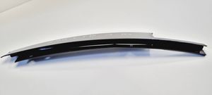 BMW 5 F10 F11 Rivestimento modanatura del vetro della portiera posteriore 7209716