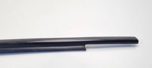 Toyota Yaris Front door glass trim molding 