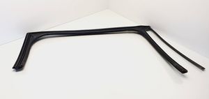 Citroen C5 Rubber seal rear door window/glass 96573973