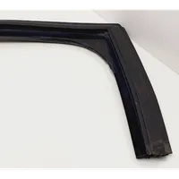 Citroen C5 Rubber seal rear door window/glass 96573973