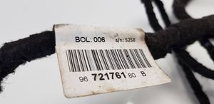 Citroen C5 Rear door wiring loom 9672176180