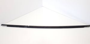 Volkswagen Golf VI Rubber seal rear door window/glass 