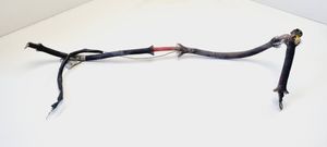 Citroen Jumper Wires (starter motor) 1341751080