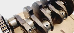 Volkswagen PASSAT B5 Crankshaft 050105189C