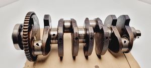 Volkswagen PASSAT B5 Crankshaft 050105189C