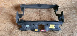 Mercedes-Benz A W169 Moldura del radiador A0019890803