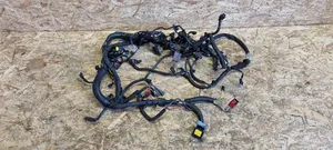 Citroen Berlingo Faisceau de câblage pour moteur 9663562680