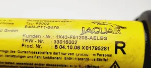 Jaguar X-Type Boucle de ceinture de sécurité avant 1X43F61208AELEG