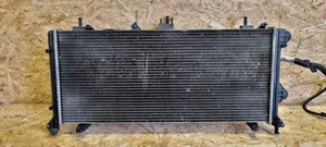 Fiat Doblo Set del radiatore 841961300