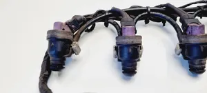 Renault Scenic I Fuel injectors set 270013W7P