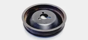 Volkswagen Crafter Power steering pump pulley 074121031