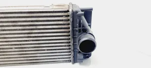 Volkswagen Crafter Chłodnica powietrza doładowującego / Intercooler 9065000000