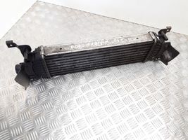 Ford Fusion Starpdzesētāja radiators 5S6H9L440AD