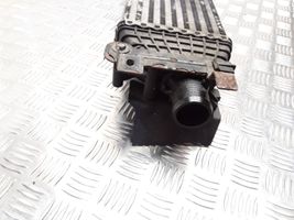 Ford Fusion Starpdzesētāja radiators 5S6H9L440AD