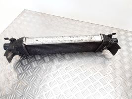 Ford Fusion Starpdzesētāja radiators 5S6H9L440AD