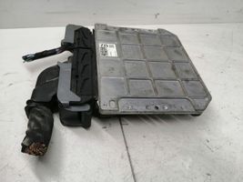 Toyota RAV 4 (XA40) Sterownik / Moduł ECU 8966142U20