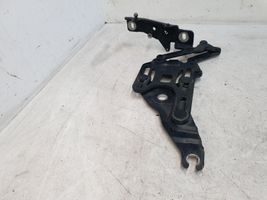 BMW X5 E70 Cerniere del vano motore/cofano 714834811