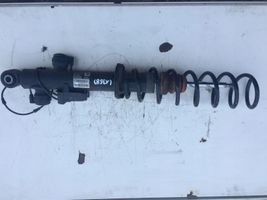 BMW 5 F10 F11 Rear shock absorber with coil spring 6796860