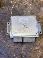 KIA Carnival Calculateur moteur ECU 391044X910