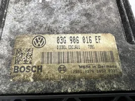 Volkswagen Golf Plus Calculateur moteur ECU 03G906016EF