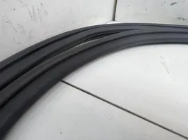 Audi A4 S4 B8 8K Front door rubber seal 