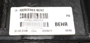 Mercedes-Benz S W221 Radiador calefacción soplador 2218300262