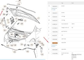 Volkswagen Caddy Siłownik maski przedniej 3B0823499B