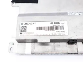 Audi A6 S6 C6 4F Ekrāns / displejs / mazais ekrāns 4F0919604