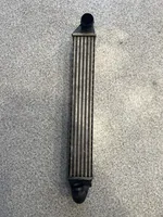 Volkswagen Sharan Radiatore intercooler 7M3145805
