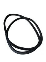 Volkswagen PASSAT B8 Rear door rubber seal (on body) 3G0867914K