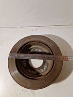 Mitsubishi Pajero Rear brake disc 