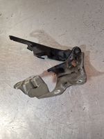 Lexus GS 300 350 430 450H Engine bonnet/hood hinges 